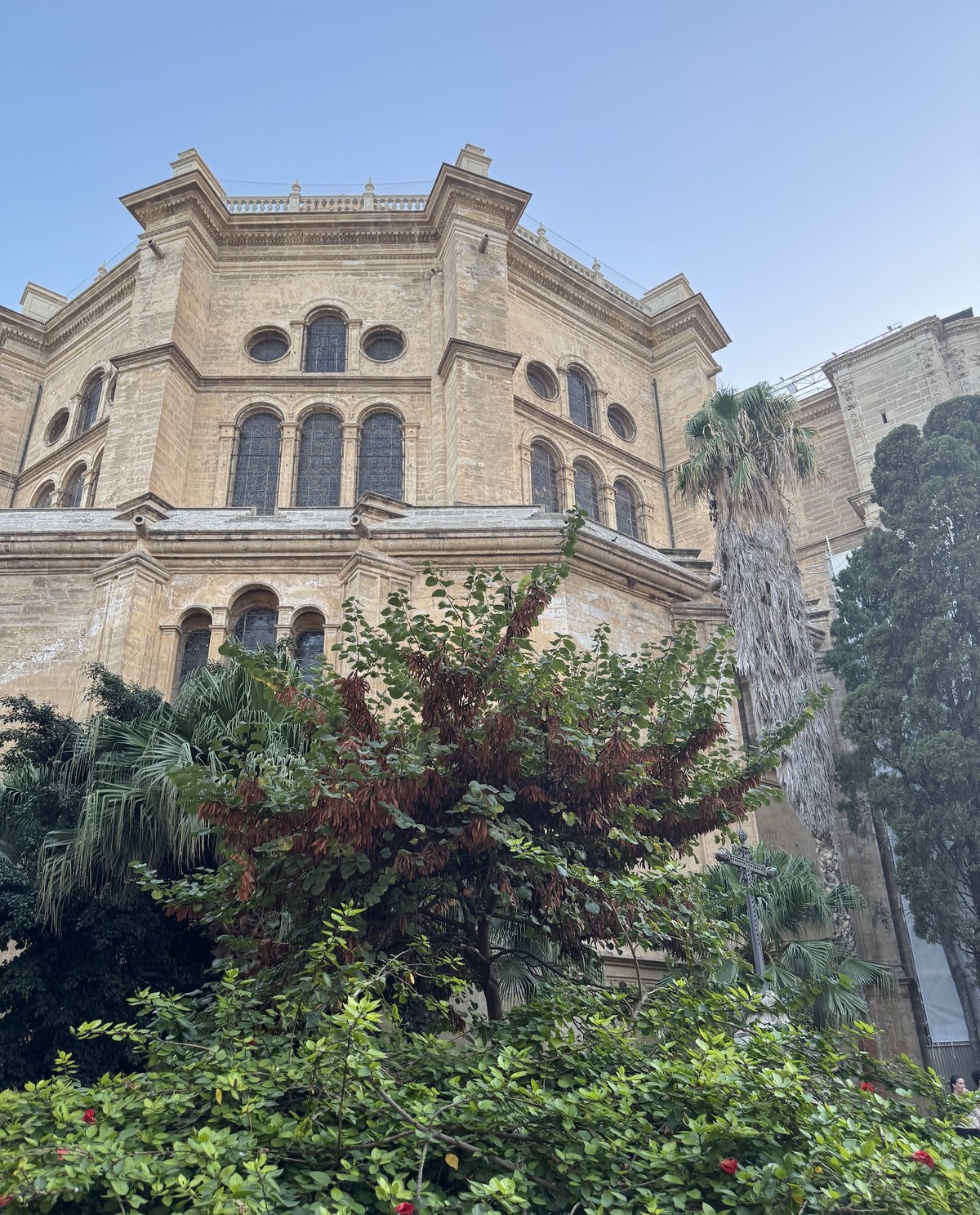 Cathedrale de Malaga vue depuis les jardins, pierre doree et vegetation